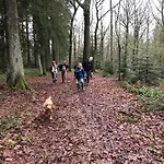 Forest Σαλέ