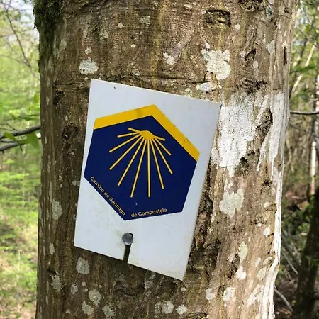샬레 Forest Petit Mesnil