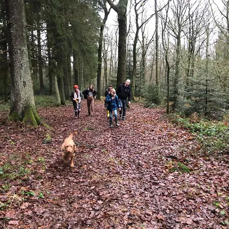 Forest Domek alpejski