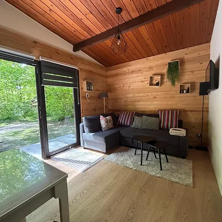 Forest * Petit Mesnil