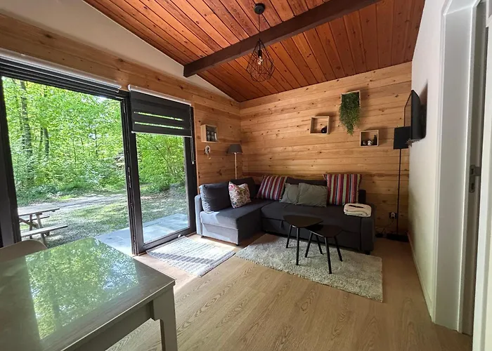 Forest * Petit Mesnil